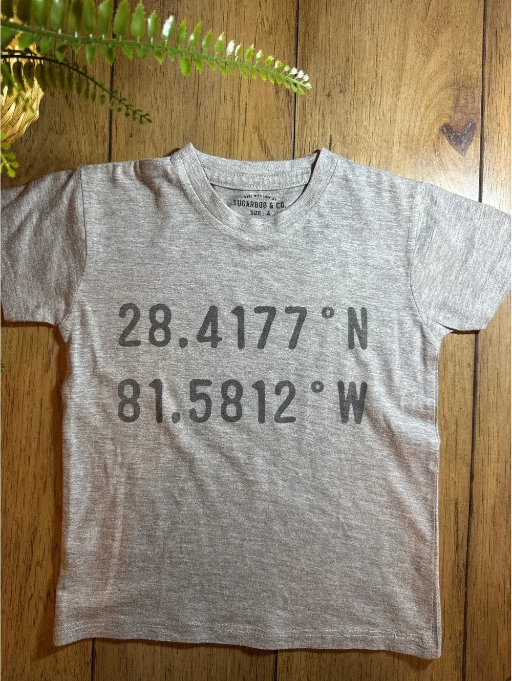 Sugarboo & Co. Boys Coordinates Graphic Tee – Size 4